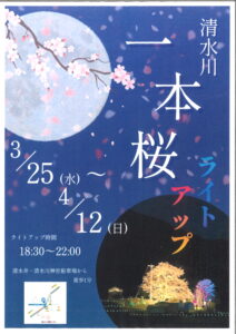 清水川の一本桜ライトアップについて